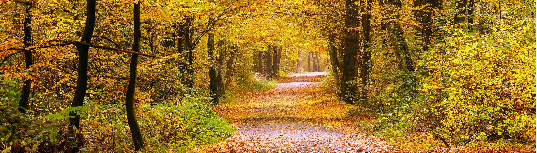 Le Tai-Chi pour un mieux-�tre!