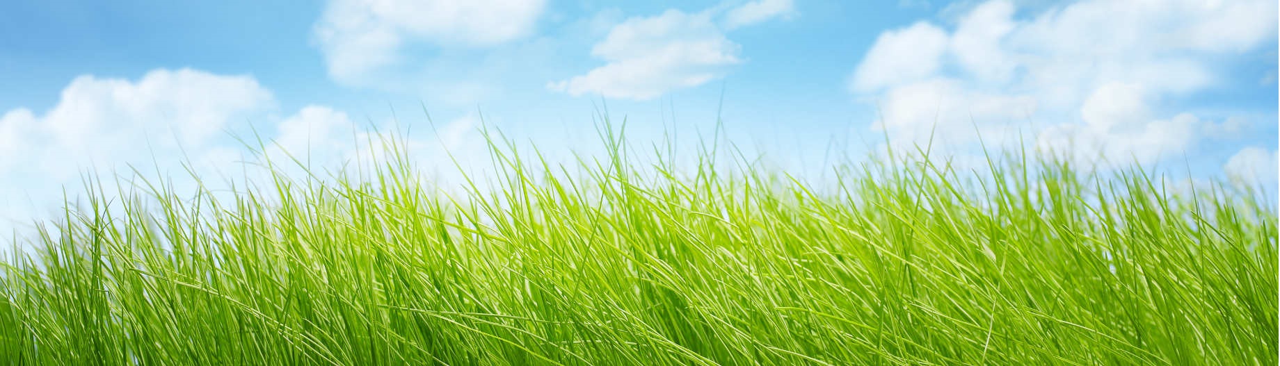 Le Tai-Chi pour un mieux-�tre!